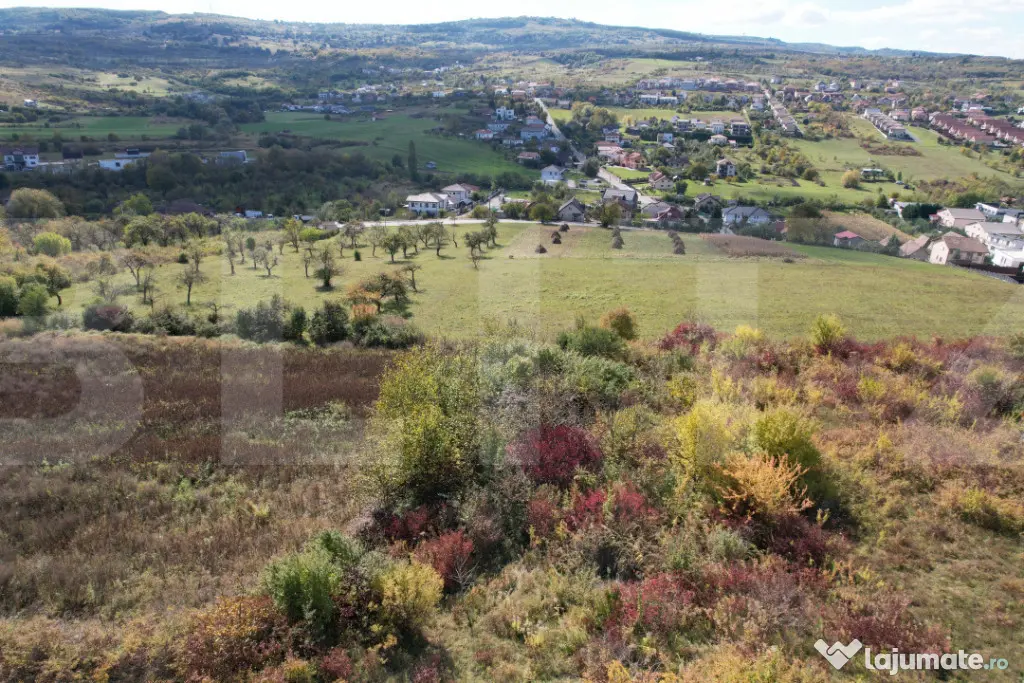 Oportunitate! Teren 6896 mp Borhanci – Zonă în Plină De