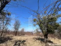 Teren intravilan de vanzare sat Gheorgheni