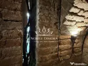 SAD - Spatiu comercial central de 160mp in Arad - ideal: ... 