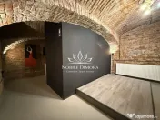 SAD - Spatiu comercial central de 160mp in Arad - ideal: ... 