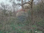 Comision 0! Casă cu teren de 1000mp in inima Brasovului 