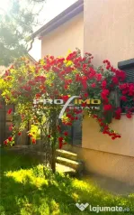 LAZU vila P M, deosebita, ideala familie, 4 camere, facilita