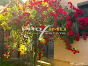 LAZU vila P M, deosebita, ideala familie, 4 camere, facilita 