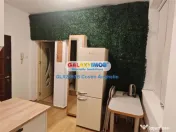 Apartament 2 Camere Proaspat Renovat - Tineretului 
