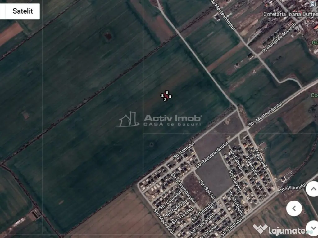 Teren intravilan, 1258 mp, Buftea