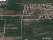 Teren intravilan, 1258 mp, Buftea 