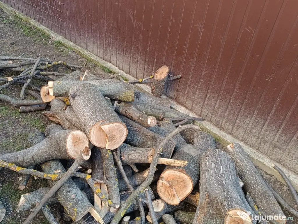 Trunchi de nuc pentru cherestea și lemn de foc nuc