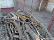 Trunchi de nuc pentru cherestea și lemn de foc nuc 