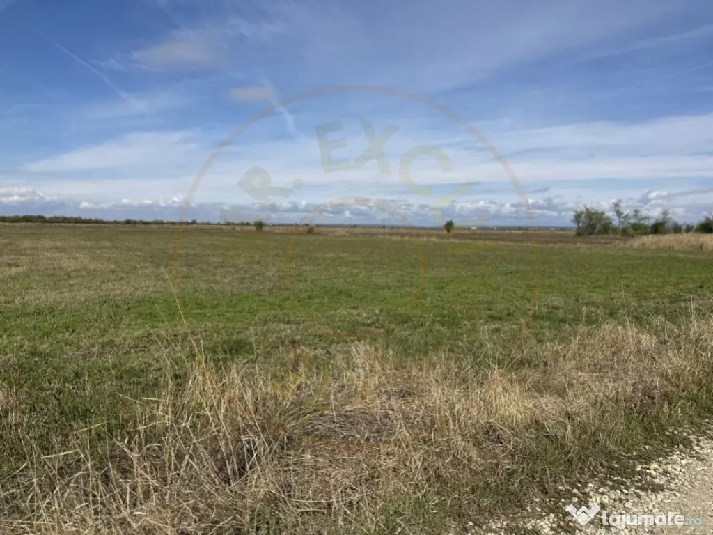 Teren intravilan 3700 mp la 28 km de Pitesti - zona linisti