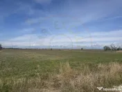 Teren intravilan 3700 mp la 28 km de Pitesti - zona linisti 