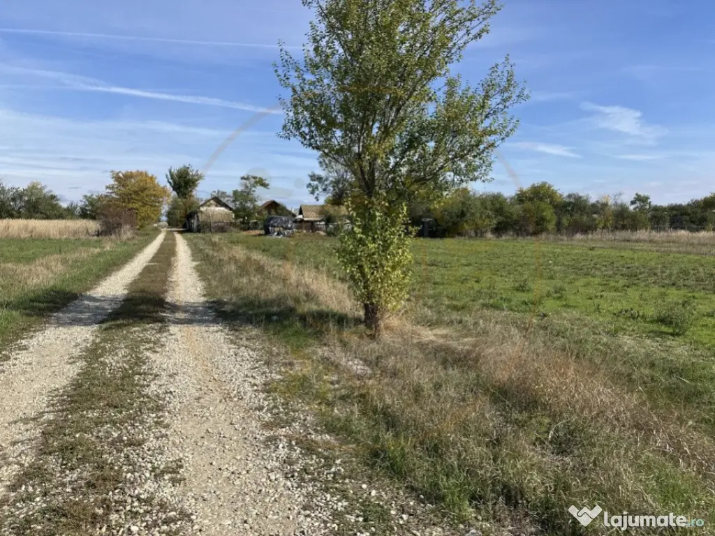 Teren intravilan 3700 mp la 28 km de Pitesti - zona linisti