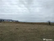 Oportunitate! Teren Industrial - Zona Darste 