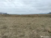 Oportunitate! Teren Industrial - Zona Darste 