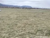 Oportunitate! Teren Industrial - Zona Darste 