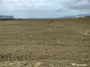 Oportunitate! Teren Industrial - Zona Darste 