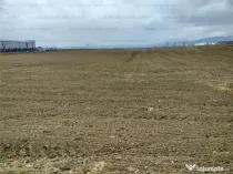 Oportunitate! Teren Industrial - Zona Darste