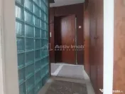 Vila Cismigiu Stirbei Voda- Berzei 