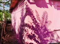 Casa Galicea Mare, Dolj