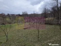 Teren intravilan 800 mp de vanzare in Lunca Mare