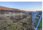 Teren intravilan 7 ari, construcție casă, zonă liniștit?