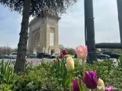 Apartament 2 camere I Mihalache-Domenii 