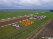 FRUMUSANI - VIOLETELOR, TEREN 423 MP, FRONT 14 M! 