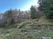 Teren 2.882 mp – oportunitate investitie - Cheile Dâmbovi 