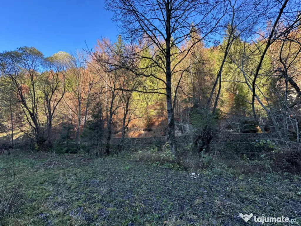 Teren 2.882 mp – oportunitate investitie - Cheile Dâmbovi