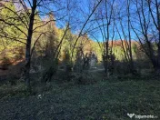 Teren 2.882 mp – oportunitate investitie - Cheile Dâmbovi 