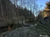 Teren 2.882 mp – oportunitate investitie - Cheile Dâmbovi 