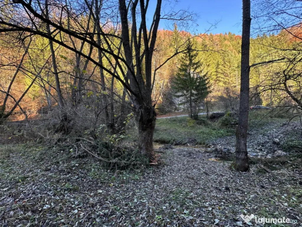 Teren 2.882 mp – oportunitate investitie - Cheile Dâmbovi