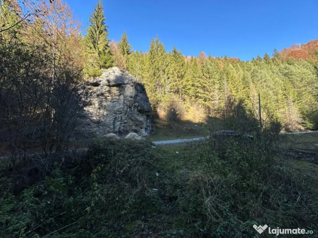 Teren 2.882 mp – oportunitate investitie - Cheile Dâmbovi