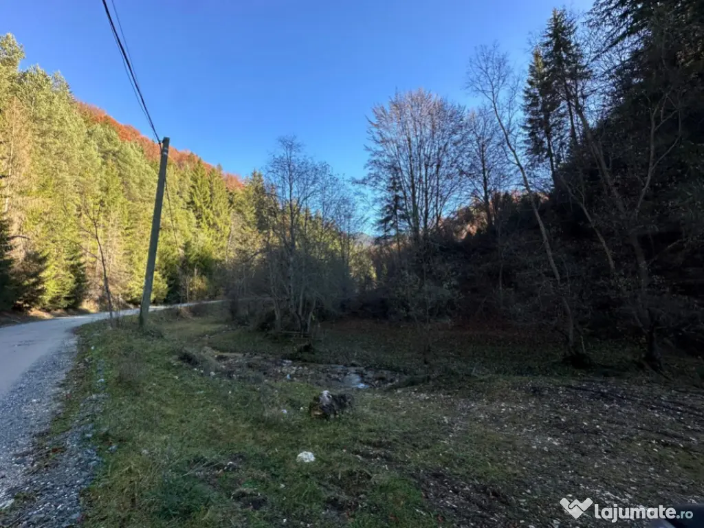 Teren 2.882 mp – oportunitate investitie - Cheile Dâmbovi