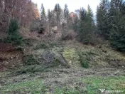 Teren 2.882 mp – oportunitate investitie - Cheile Dâmbovi 