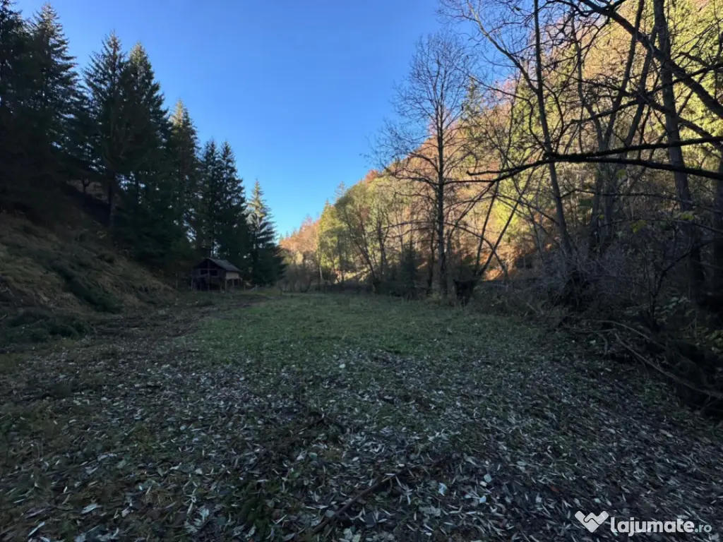 Teren 2.882 mp – oportunitate investitie - Cheile Dâmbovi