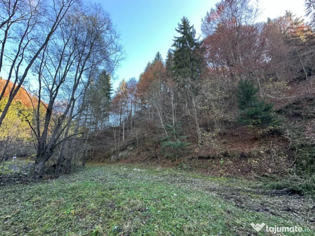 Teren 2.882 mp – oportunitate investitie - Cheile Dâmbovi