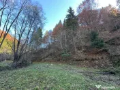 Teren 2.882 mp – oportunitate investitie - Cheile Dâmbovi 