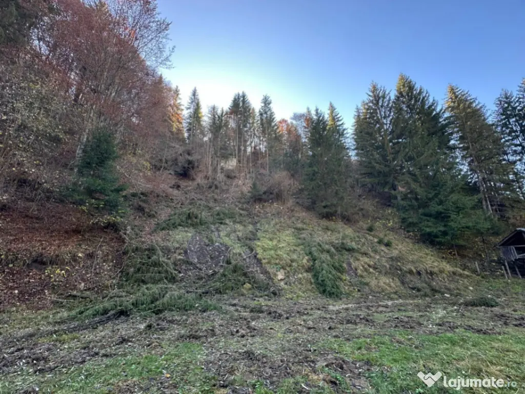 Teren 2.882 mp – oportunitate investitie - Cheile Dâmbovi