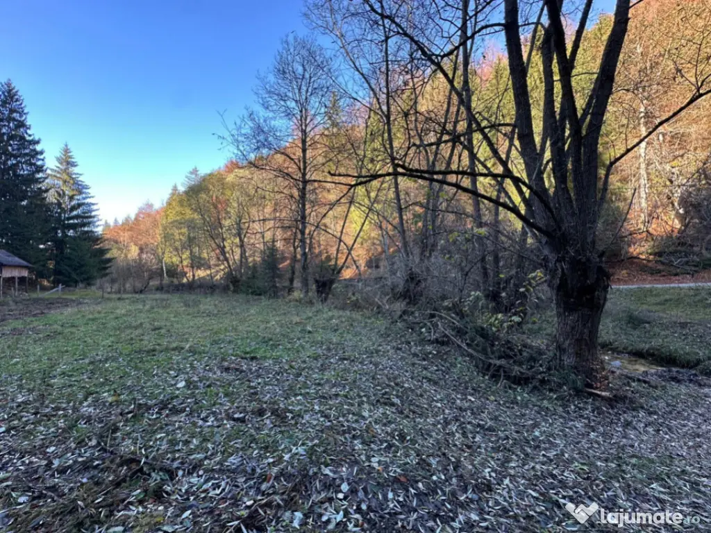 Teren 2.882 mp – oportunitate investitie - Cheile Dâmbovi