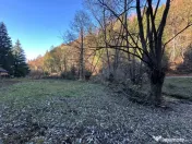 Teren 2.882 mp – oportunitate investitie - Cheile Dâmbovi 