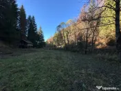 Teren 2.882 mp – oportunitate investitie - Cheile Dâmbovi 