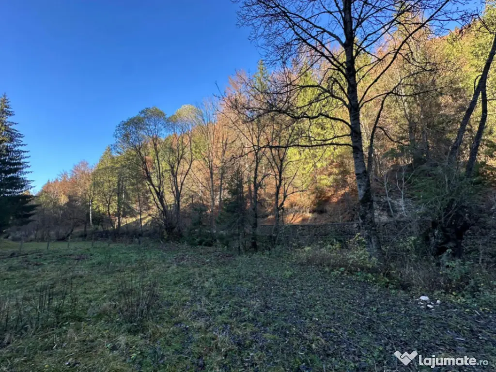 Teren 2.882 mp – oportunitate investitie - Cheile Dâmbovi