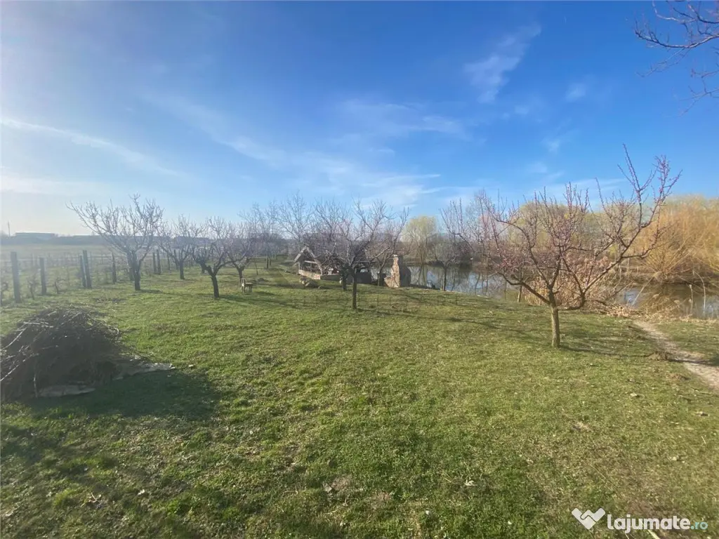 RECO casa de vacanta Episcopia