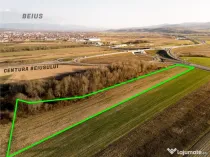 RECO Teren extravilan aproape de zona industriala Beius