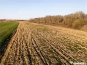 RECO Teren extravilan aproape de zona industriala Beius 