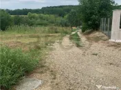 Teren intravilan in Paleu 