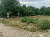 Teren intravilan in Paleu 