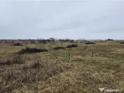 RECO teren extravilan Oradea zona Grigorescu 