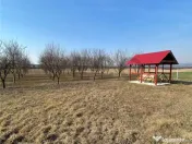 RECO Teren intravilan in zona Alesd Sat Subpiatra 800mp 