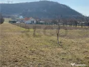 RECO Teren intravilan in zona Alesd Sat Subpiatra 800mp 